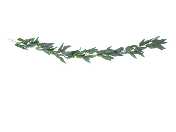 Girlanda vrbové listí, 2m (1 ks)