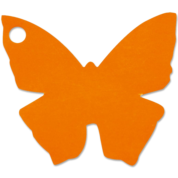 Svatební jmenovka 4x4cm - motýlek - oranžová (10ks/bal)