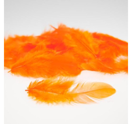 Peříčka - oranžová (10 g)