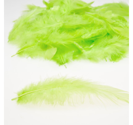 Peříčka - zelená (10 g)
